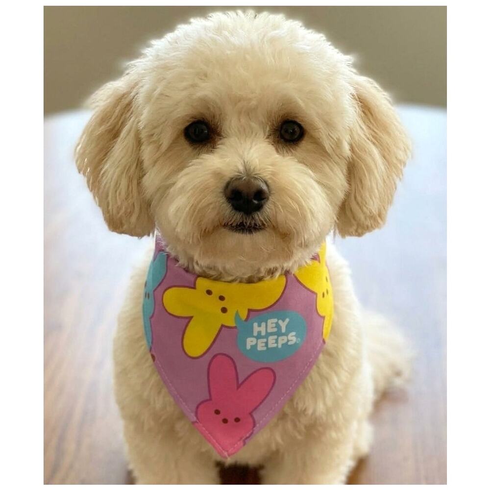 Peeps Dog Easter Bandanas Small Breed Dogs 7" (2 Pack) Pink Blue Bunnies Chicks